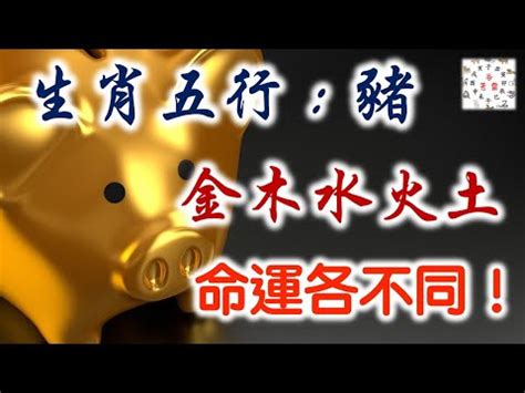 豬屬五行|【豬五行屬什麼】生肖豬五行是什麼？屬豬的人命中缺什麼？